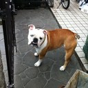 Alice Workman - @knoshoes - Twitter