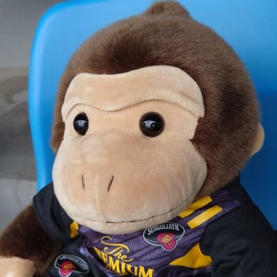 kumapooh832's profile picture. 趣味アカウント。ラグビーだったりME:IやJO1だったり。楽しいことを共有するためだけの用途。（たまにプレゼント応募リツイートなどしますがご容赦ください。）