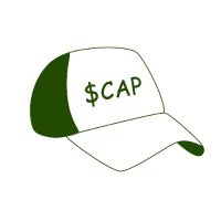 Fake Market Cap 🧢(@FakeMarketCap) 's Twitter Profile Photo