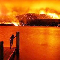 Michelle Lindsey (@baxter5az) 's Twitter Profile