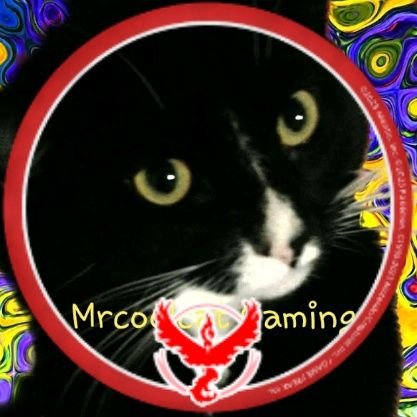 MrcoolcatYT Profile Picture