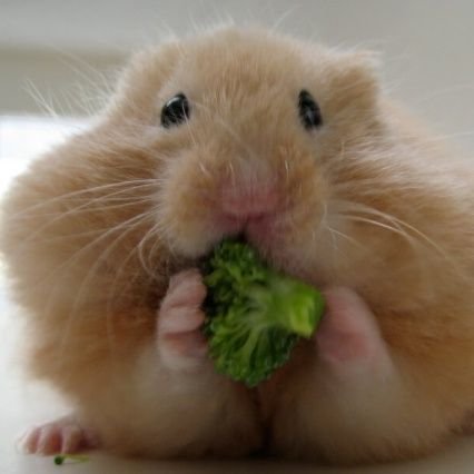 pasdidee_555's profile picture. 