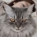 ๐ค๐บ๐ณ๐ข๐ (@noonbyeol) Twitter profile photo ๐ค๐บ๐ณ๐ข๐ (@noonbyeol) Twitter profile photo