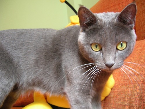 agalycalli's profile picture. 