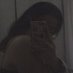 jasreen ๐๐ธ (@sdv0ee) Twitter profile photo jasreen ๐๐ธ (@sdv0ee) Twitter profile photo