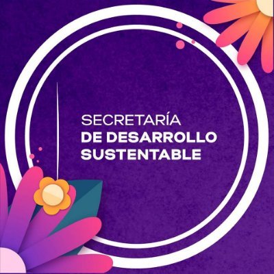 Dirección General de Energía y Cambio Climático de la Secretaria de Desarrollo Sustentable del Estado de Morelos.