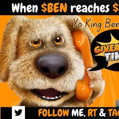 AdelSavel's profile picture. 