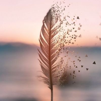 Priyanshi__09's profile picture. Learning to code👩‍💻
Learn and grow together✨