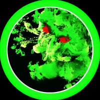 Beyond The Shadows (@beyondshadws) 's Twitter Profile Photo