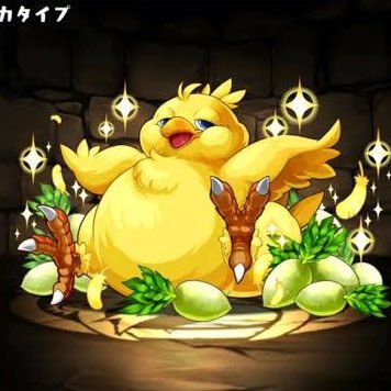 楽しいことが大好きなマイペースフッ軽とりあたま🧠 推しちゃんと同じ墓に入りたい限界オタク👻 デケェ音を浴びながらお酒を飲むのがスキ🫶🏻