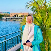 Hend Diaa Abdullah (@henddiaaeldeen3) 's Twitter Profile