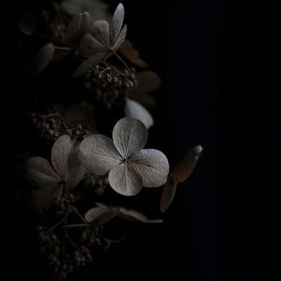 cheon_sa_1004_'s profile picture. 