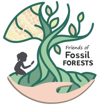 fossilforests's profile picture. A Community of Paleobotany Researchers & Enthusiasts