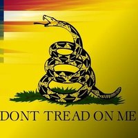 2A🇺🇲Patriot🇺🇸💯❗️MAGA❗️ (@2apatriotfjb) 's Twitter Profile
