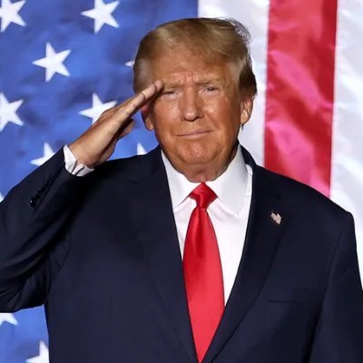 Donald Trump Cardano Parody Memecoin