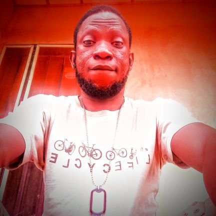 audiophile,Multi-instrumentalist,Music producer,Audio/sound engineer