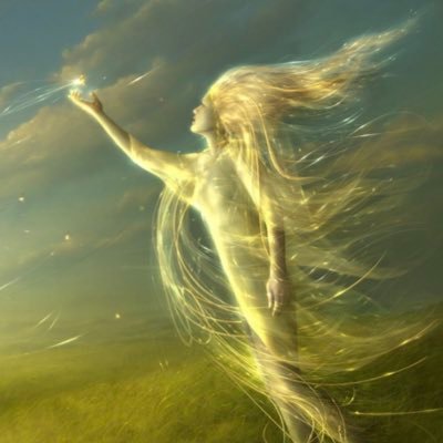meadork33's profile picture.