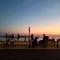 Pauline Jacot (@paulinejacot) 's Twitter Profile