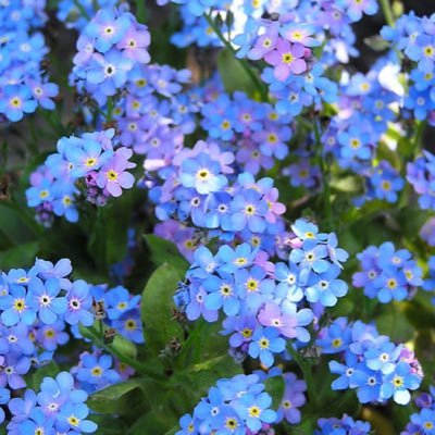 HayleyB35363458's profile picture. 