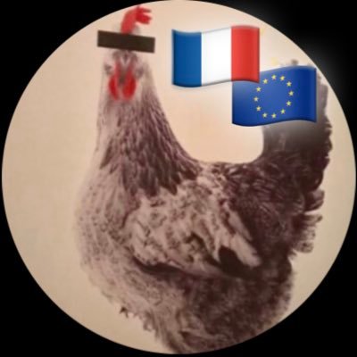 Comment peut-on prétendre aimer notre Pays des lumières et voter pour des Le Pen, Zemmour ou Melenchon qui cherchent chaque jour à le détruire ?