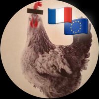 🅛🅔 🅒🅞🅠 a Besoin d’Europe(@UnPeuDeL0VE) 's Twitter Profile Photo