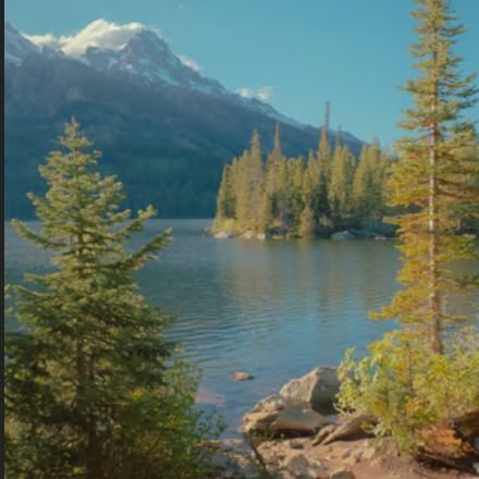 1frenk1's profile picture. 