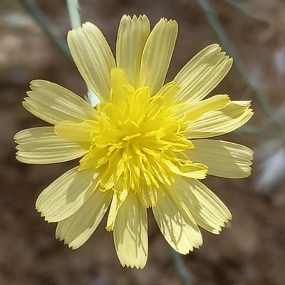 RedaRodayna's profile picture. سبحانك الله  ما بحمدك استغفرك وأتوب اليك

الله ما أعني على ذكرك وشكرك وحسن عبادتك