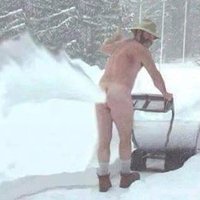 Scott (@scott59547288) 's Twitter Profile