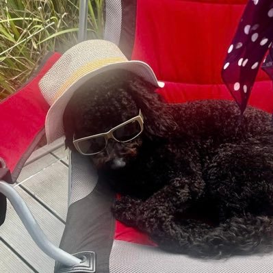 jmbubt's profile picture. Barry Town