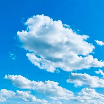 DUshauer's profile picture. 