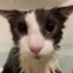 Goofball (@goofballthe4th) Twitter profile photo Goofball (@goofballthe4th) Twitter profile photo