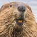 Philip Edwards (@philcumbriandoc) Twitter profile photo Philip Edwards (@philcumbriandoc) Twitter profile photo