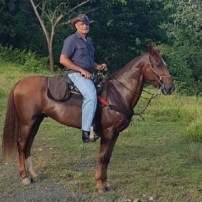 JoseGapontePons's profile picture. 