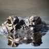 TexasGatorMan1's profile picture. 
