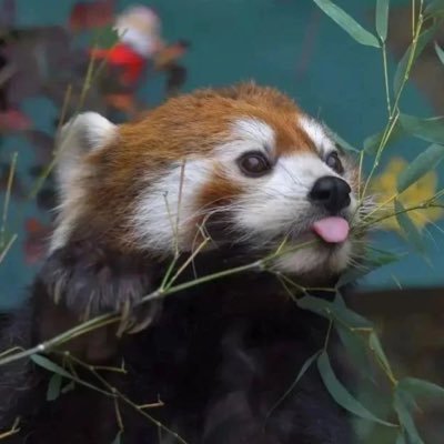 kyeroder's profile picture. La de vueltas que da la vida, pero la de vida que dan esas vueltas.