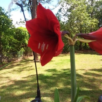 kmgj007's profile picture. 