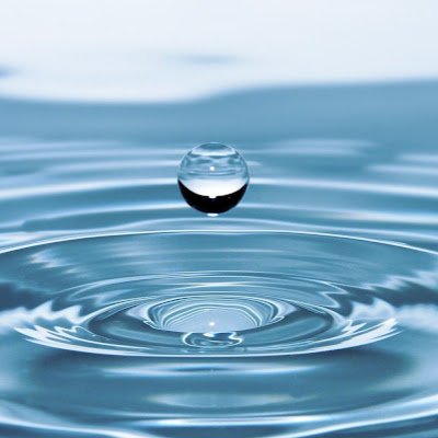 AdamTerap39152's profile picture. 