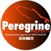 Peregrine Property (@Peregrinephfc1) Twitter profile photo