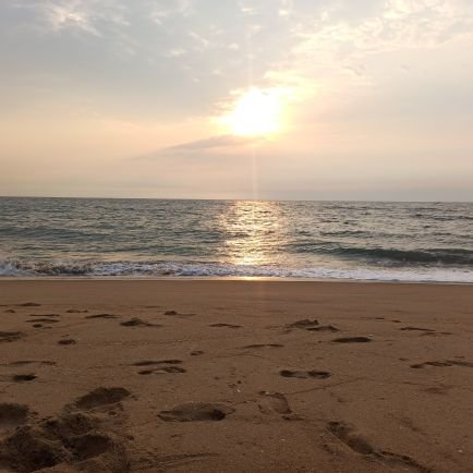 manigastweet's profile picture. Be happy and make others happy :D