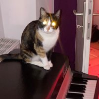 delwyn (@importanthorse) 's Twitter Profile Photo delwyn (@importanthorse) 's Twitter Profile Photo