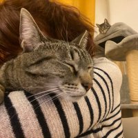 Ludivine Benard (@ludivine___b) 's Twitter Profile Photo Ludivine Benard (@ludivine___b) 's Twitter Profile Photo