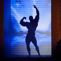 Bodybuilding News (@body_building) 's Twitter Profile