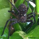 ashwin roy samuel - @ashroysam - Twitter