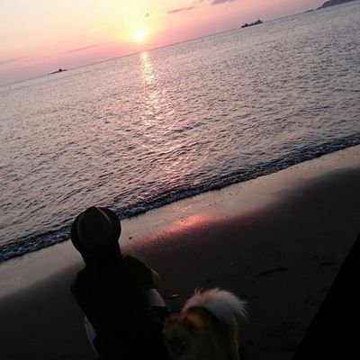 🐶もふもふを愛でる毎日🐶
バーナー🔥でガラスを溶かしガラスアクセサリーやとんぼ玉を作っています🫧 ͛.*
『⟡.·*.作れるものを 無理なく作る✩.*˚』

無言フォロー失礼します🙇