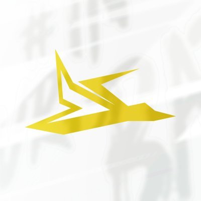 Ducky Esports Profile