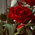 ساهر اليال (@zxcc7383460051) Twitter profile photo ساهر اليال (@zxcc7383460051) Twitter profile photo