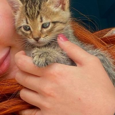 ___Gulce_'s profile picture. 🧚‍♂️✨️🇹🇷Belki Bir Gün Masallar Gerçek Olur.. ⭐️Bazen sessizliği dinlersin..🧚‍♀️✨️                                    🧚‍♀️✨️