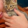 ___Gulce_'s profile picture. 🧚‍♂️✨️🇹🇷Belki Bir Gün Masallar Gerçek Olur.. ⭐️Bazen sessizliği dinlersin..🧚‍♀️✨️                                    🧚‍♀️✨️