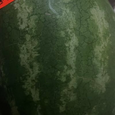 SteevenPierre3's profile picture. 