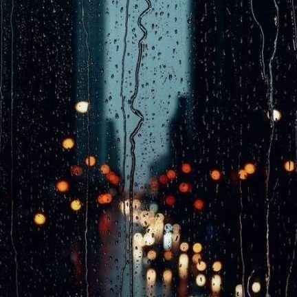 RainloverA76759's profile picture. penyuka petrichor, ramen dan kamu!